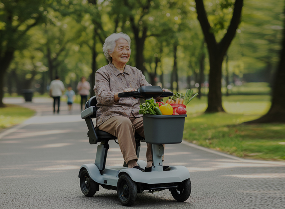 Electric Wheelchair